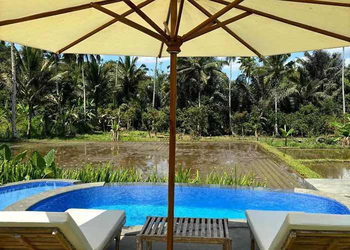D'pondok Sangaji Ricefield View By Eps * Penginyahan
