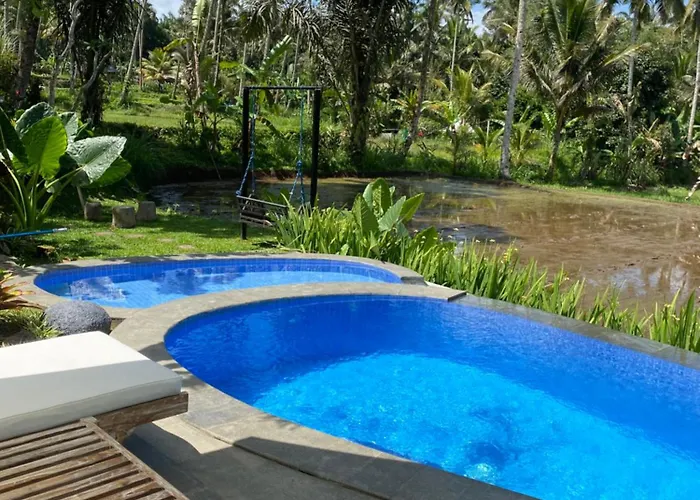Orman Evi D'pondok Sangaji Ricefield View By Eps Penginyahan