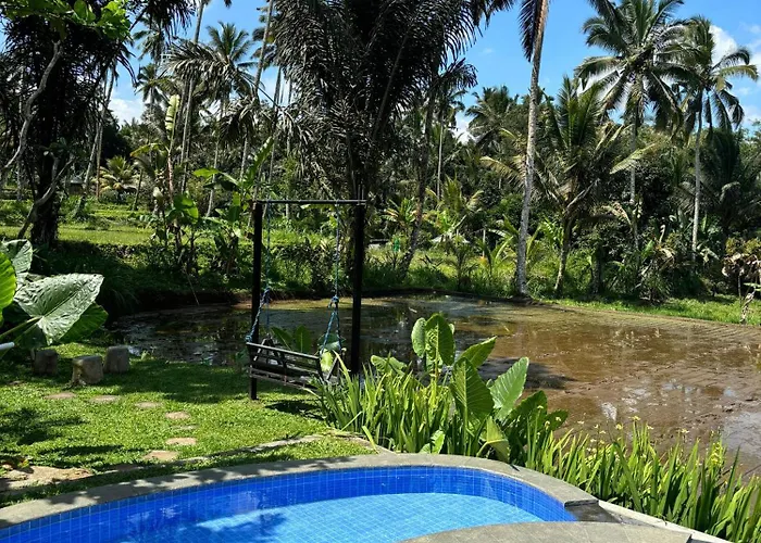 D'pondok Sangaji Ricefield View By Eps Orman Evi