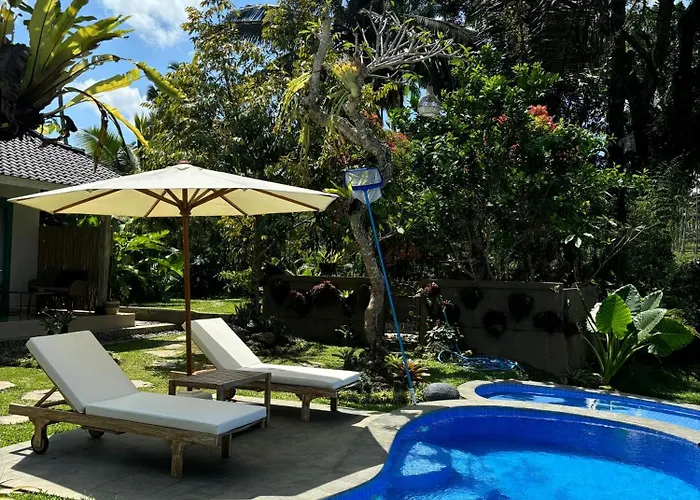 Orman Evi D'pondok Sangaji Ricefield View By Eps