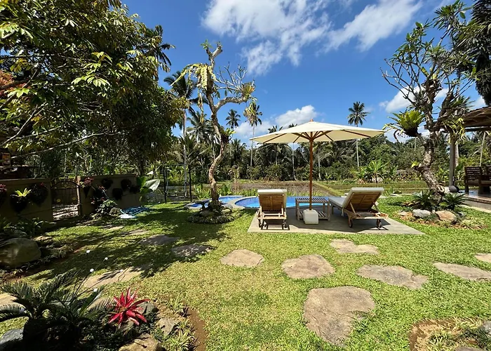 D'pondok Sangaji Ricefield View By Eps