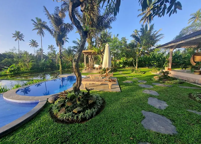 D'pondok Sangaji Ricefield View By Eps Penginyahan