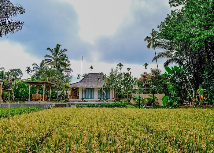 D'pondok Sangaji Ricefield View By Eps * Penginyahan