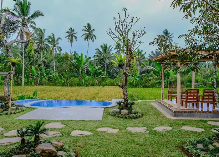 D'pondok Sangaji Ricefield View By Eps Penginyahan