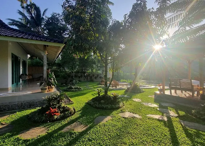 D'pondok Sangaji Ricefield View By Eps