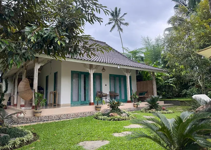 Orman Evi D'pondok Sangaji Ricefield View By Eps Penginyahan