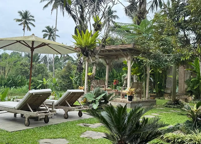 D'pondok Sangaji Ricefield View By Eps Orman Evi *