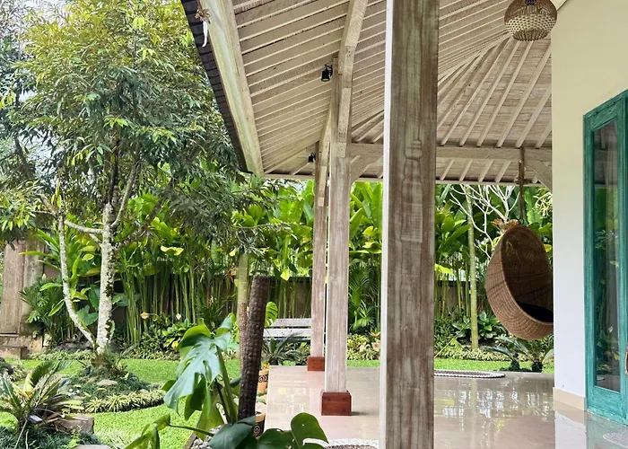 Orman Evi D'pondok Sangaji Ricefield View By Eps